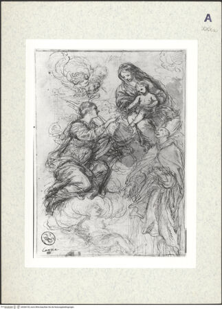 Vorderseite von bh366155_recto