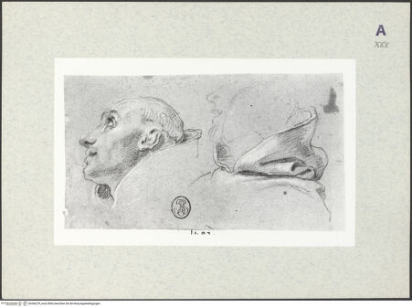 Vorderseite von bh366279_recto