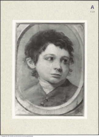 Vorderseite von bh366286_recto