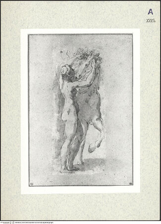 Vorderseite von bh366302_recto