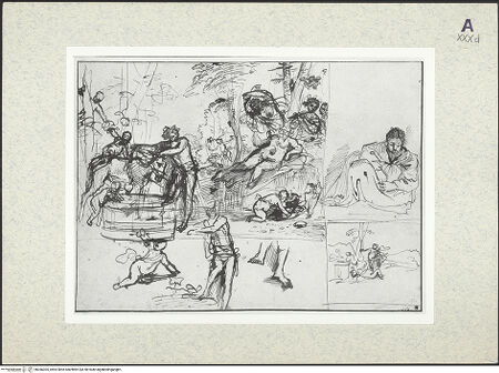 Vorderseite von bh366305_recto