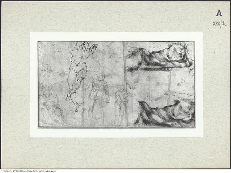 Vorderseite von bh366308_recto