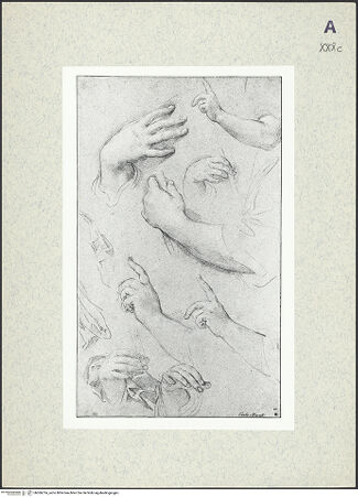 Vorderseite von bh366314_recto