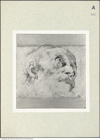 Vorderseite von bh366320_recto