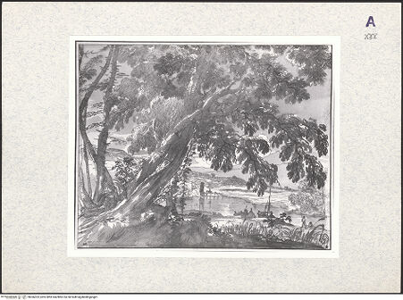 Vorderseite von bh366323_recto