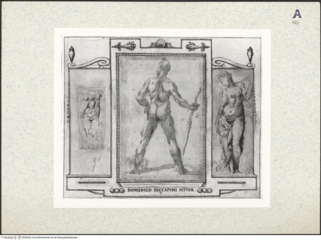 Vorderseite von bh366333_recto