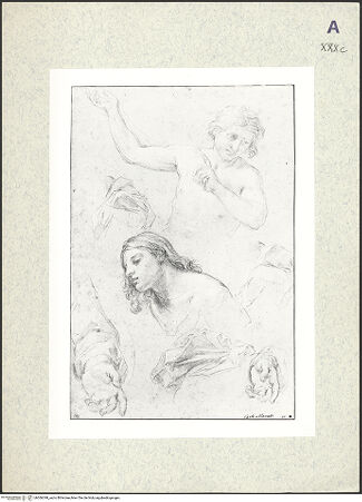 Vorderseite von bh366348_recto