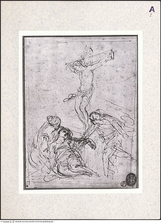 Vorderseite von bh366356_recto