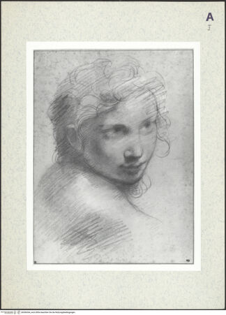 Vorderseite von bh366364_recto