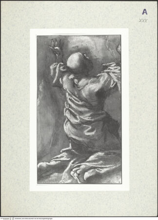 Vorderseite von bh366365_recto