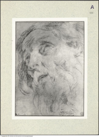 Vorderseite von bh366368_recto