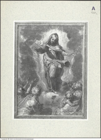 Vorderseite von bh366372_recto