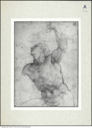 Vorderseite von bh366381_recto