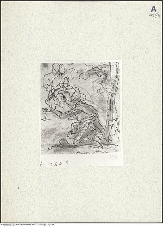 Vorderseite von bh366438_recto