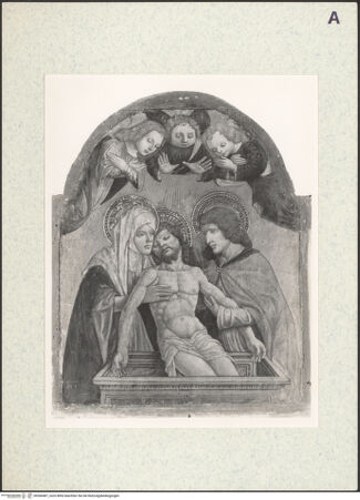 Vorderseite von bh366487_recto