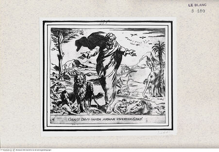 Vorderseite von Istituto Nazionale per la Grafica [http://creativecommons.org/publicdomain/mark/1.0/] "Historia del Testamento Vecchio dipinta in Roma nel Vaticano da Raffaello di Urbino"... 1613Die Erschaffung der Tiere - , bh366542. Foto.