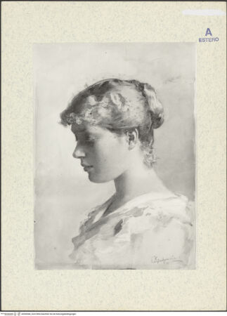 Vorderseite von bh366586_recto