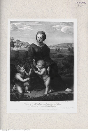 Vorderseite von  [http://creativecommons.org/publicdomain/mark/1.0/] "Madonna del Belvedere" - , bh366604. Foto.