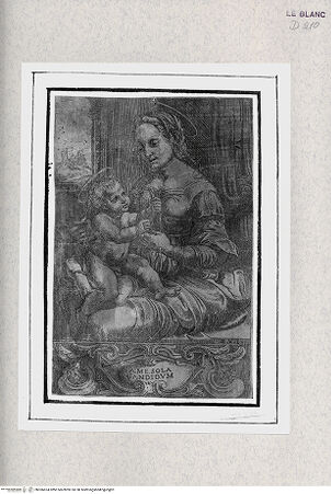 Vorderseite von  [http://creativecommons.org/publicdomain/mark/1.0/] "Madonna dei garofani" - , bh366624. Foto.