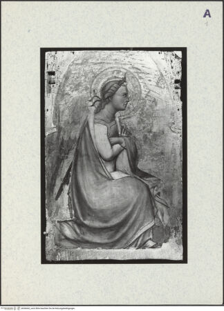 Vorderseite von bh366662_recto