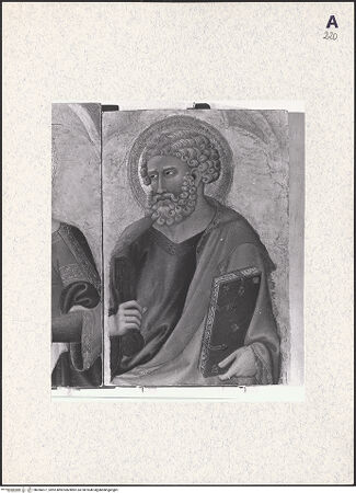 Vorderseite von bh366677_recto