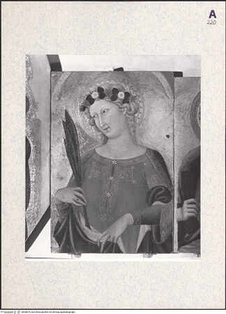 Vorderseite von bh366678_recto