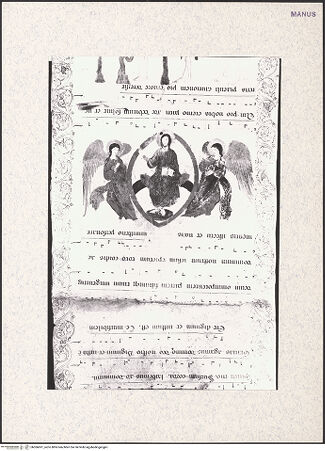 Vorderseite von bh366691_recto