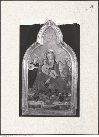 Vorderseite von bh366695_recto