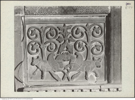 Vorderseite von bh366770_recto