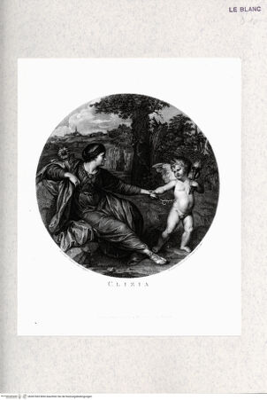 Vorderseite von  [http://creativecommons.org/publicdomain/mark/1.0/] Clytia - , bh367065. Foto.