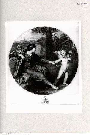 Vorderseite von  [http://creativecommons.org/publicdomain/mark/1.0/] Clytia - , bh367082. Foto.