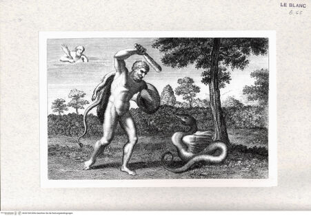 Vorderseite von  [http://creativecommons.org/publicdomain/mark/1.0/] Serie eines anonymen Stechers nach den Fresken der Galleria FarneseHerkules und die Hydra - , bh367365. Foto.