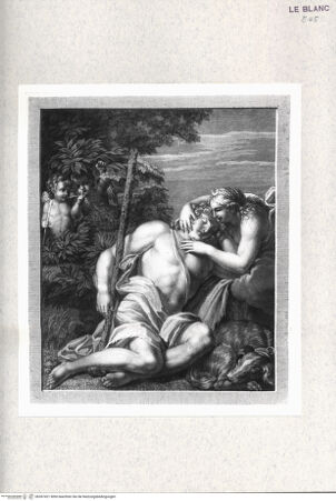 Vorderseite von  [http://creativecommons.org/publicdomain/mark/1.0/] Nachstiche nach den Fresken in der Galerie des Palazzo Farnese, RomDiana und Endymion - , bh367421. Foto.