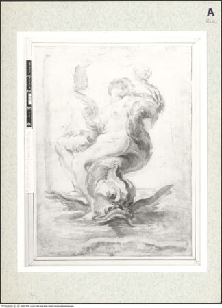 Vorderseite von bh367890_recto