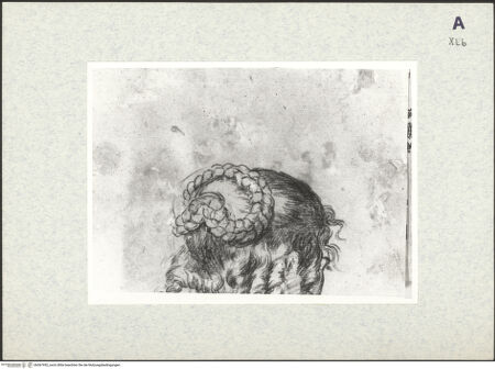 Vorderseite von bh367952_recto