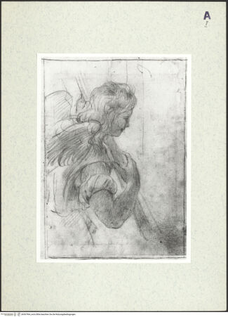 Vorderseite von bh367964_recto