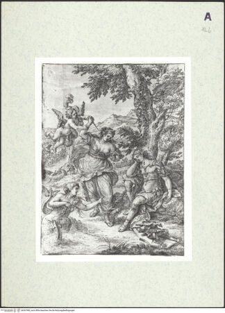 Vorderseite von bh367980_recto