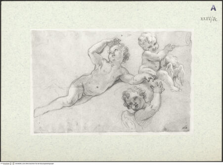 Vorderseite von bh368086_recto