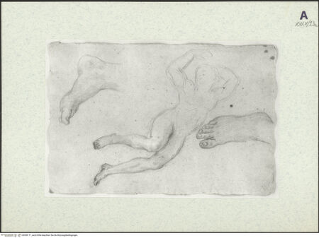 Vorderseite von bh368111_recto