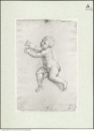 Vorderseite von bh368115_recto