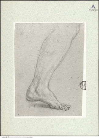 Vorderseite von bh368121_recto