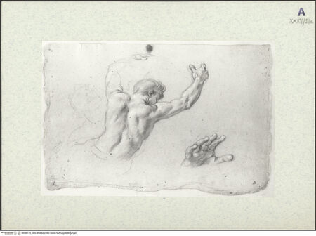 Vorderseite von bh368139_recto