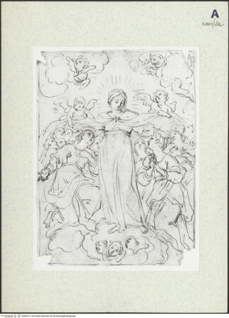 Vorderseite von bh368147_recto