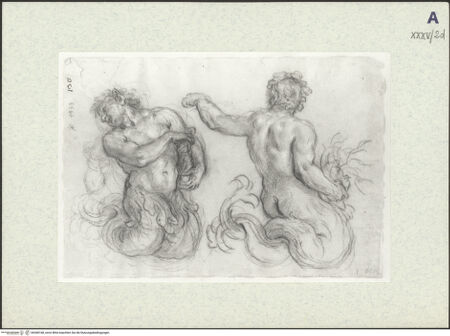 Vorderseite von bh368168_recto