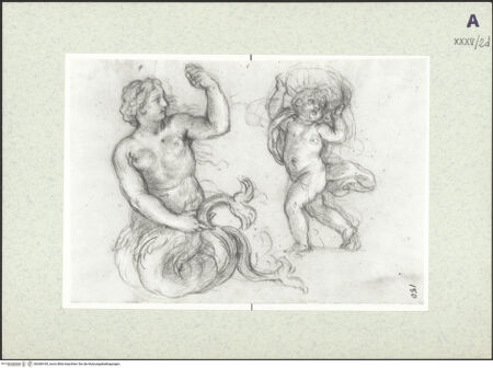 Vorderseite von bh368169_recto