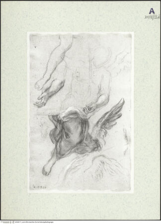 Vorderseite von bh368171_recto