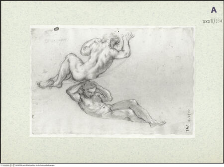 Vorderseite von bh368204_recto