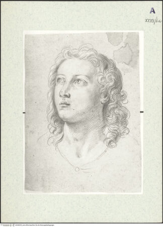 Vorderseite von bh368259_recto