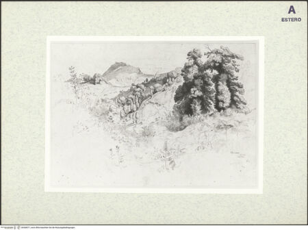 Vorderseite von bh368571_recto