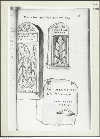 Vorderseite von bh368794_recto